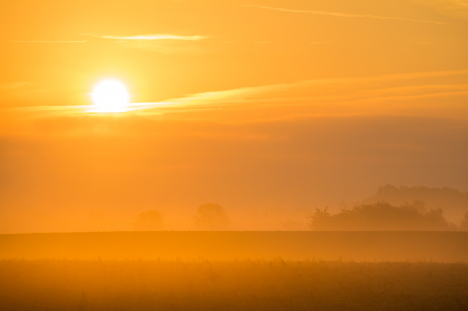 slunečnímu záření, krajina, západ slunce, nebe, svítání, večer, ráno, mlha, slunce, horizont, atmosféra, soumrak, opar, mrak, mlha, svítání, dimma, venkov, landsbygd, soluppg ng, s dersl tt, landskap, gryning, exif modelu canoneos760d, geocountry, Kamera aby kánon, geocity, Model fotoaparátu canoneos760d, geostate, geolocation, EXIF čočka efs18200mmf3556is, exif aby kánon, EXIF isospeed 100, EXIF otvor 80, exif focallength 140mm, morgon, prostý, atmosférický jev, odlesk, červená obloha v dopoledních hodinách