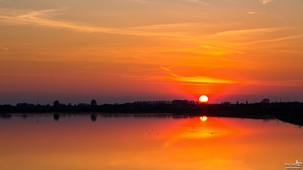 bracom, západ slunce, zonsondergang, odrazy, slunce, zon, večer, Avond, stromy, Bomen, jaro, lente, Silhoet, siluety, mrak, nebe, Wolk, pták, VOGELS, Ouddorp, goereeoverflakkee, Grevelingenmeer, zuidholland, nederland, southholland, Nizozemí, Holandsko, canoneos5dmkiii, širokoúhlý, Kánon, 169, canonef24105mm, bramvanbroekhoven, nl