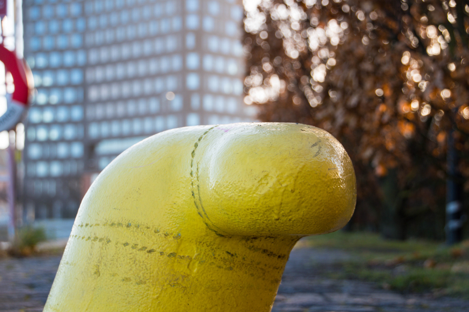 slunečnímu záření, architektura, voda, Příroda, budova, fotografování, zelená, žlutý, bokeh, Švédsko, dok, Studio, Sverige, Malm, barva, květ, Pohled, venkovní, cityview, sk nel n, se, studiomalm, architektura, byggnad, zblízka, makro fotografie