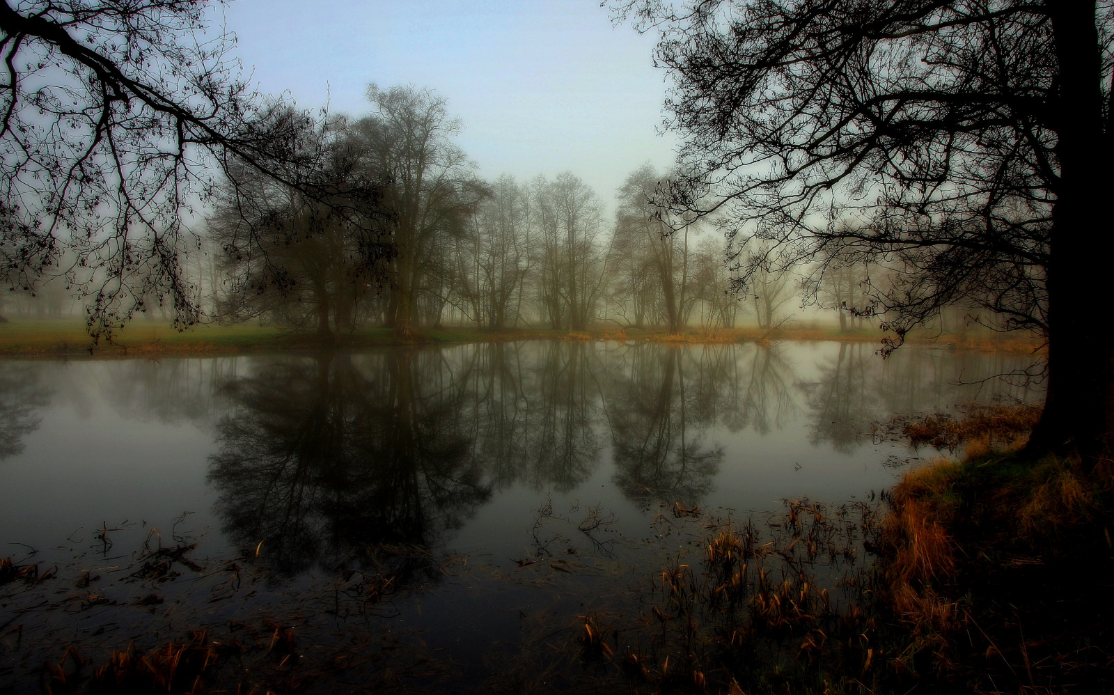 แสงแดด, แนวนอน, ป่า, ทะเลสาบ, น้ำ, ธรรมชาติ, การสะท้อน, ฤดูหนาว, สาขา, ตอนเย็น, เช้า, หมอก, แม่น้ำ, Canon, ฤดูใบไม้ผลิ, พื้นที่ชุ่มน้ำ, ต้นไม้, ฤดูใบไม้ร่วง, หมอก, ใบไม้, สภาพอากาศ, รุ่งอรุณ, ฤดู, ป่าไม้, ซีซาร์, marcelxyz, ถิ่นที่อยู่, สภาพแวดล้อมทางธรรมชาติ, ปรากฏการณ์บรรยากาศ, ไม้ยืนต้น
