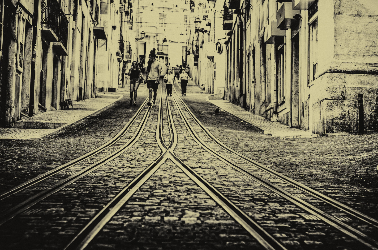 černobílý, město, ulice, panoráma města, silnice, symetrie, Nikon, Lisabon, doprava, Lightroom, Portugalsko, infrastruktura, 2014, Mono, tělesné, alej, nik, tvar, čára, chodník, Alt, dráha, D300S, lisboa, ilobsterit, kolejnice, pruh, urban area, Černý a bílý, monochromatické fotografování, dávná historie, silverefex, barrio, Lisabon