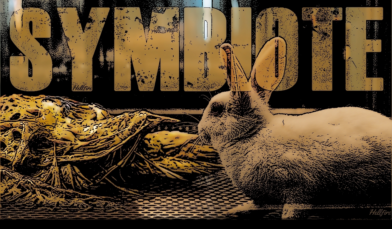 Wallpaper : Sony, Venom, symbiote, rabbits 1366x800 - bawasushil ...