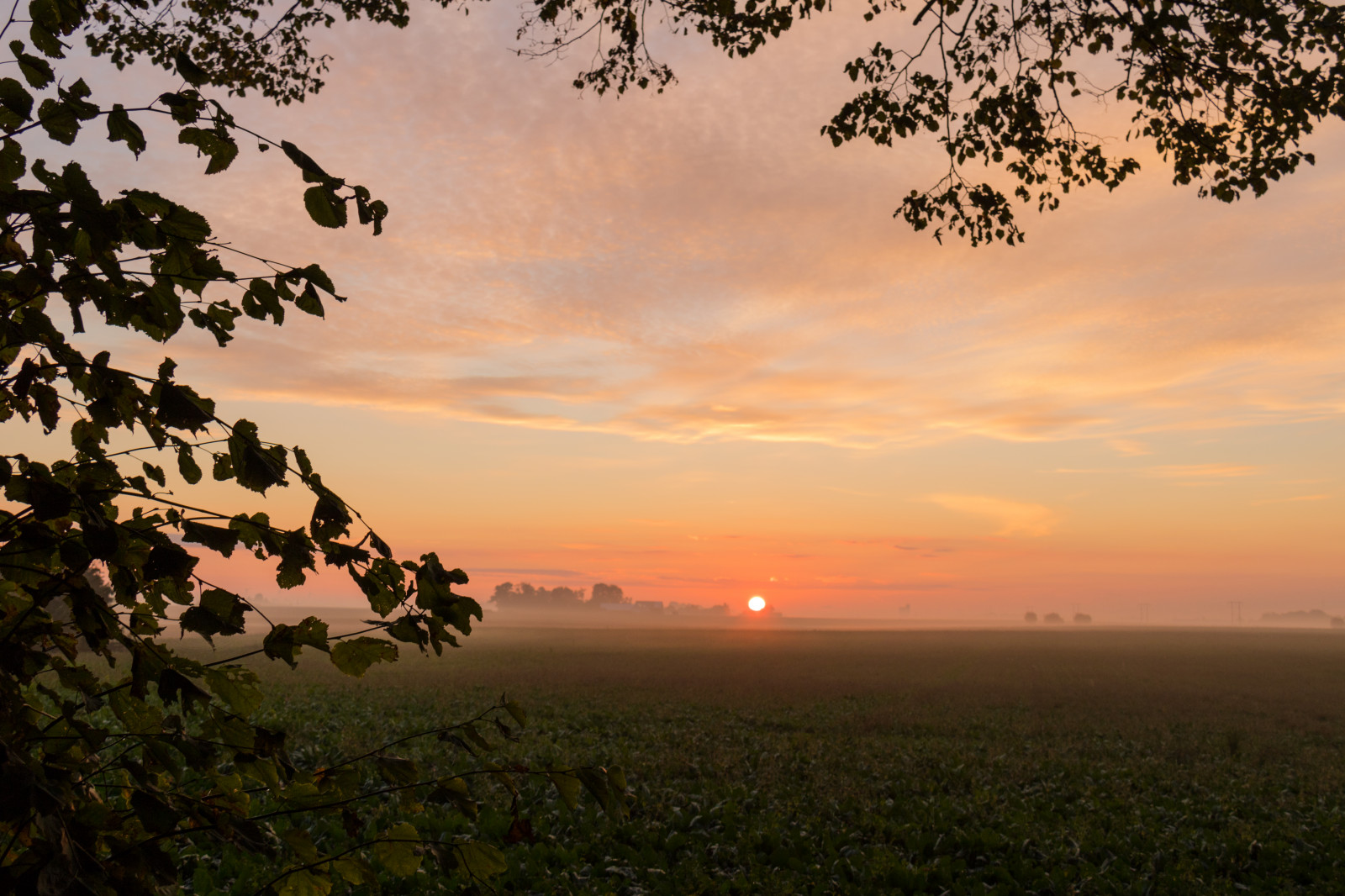 slunečnímu záření, krajina, západ slunce, kopec, Příroda, nebe, pole, svítání, večer, ráno, mlha, slunce, horizont, soumrak, slunce, venkovský, mrak, strom, podzim, mlha, list, hora, květ, svítání, lučina, zlatá hodina, nebe, dimma, venkov, moln, landsbygd, soluppg ng, s dersl tt, landskap, morgon, gyllenetimmen, simlinge, prostý, prérie, venkov, atmosférický jev, savana