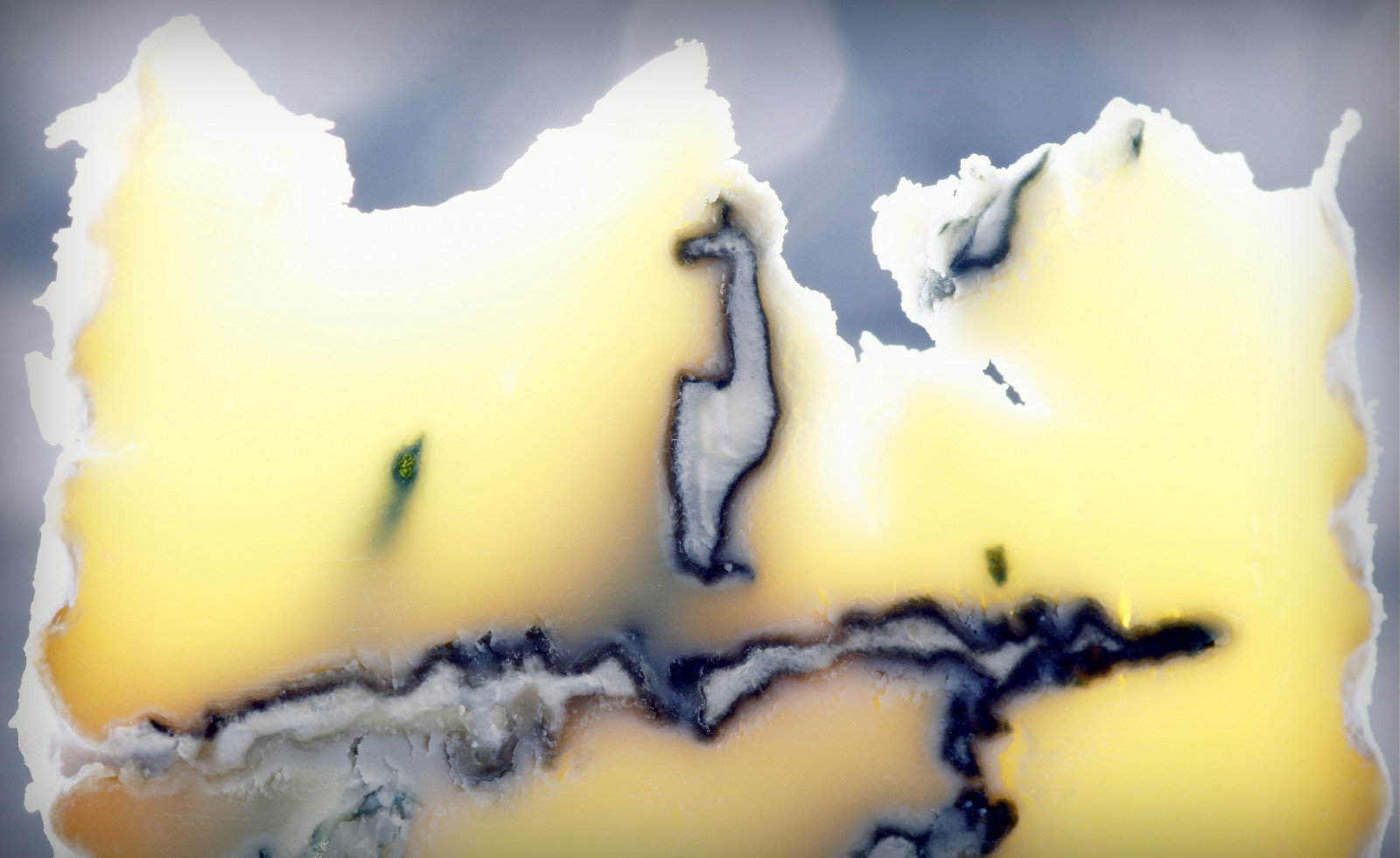 jídlo, makro, žlutý, modrý, dezert, námraza, macromonday, květ, makro, makrofotografie, Řekni sýr, flowrwolf, modrý sýr, kingislandbluecamembert, blueveincheese, softcheese, 55pareidoliafor117in2017, pareidolia, allamainmycheese, saycheeseformacromonday