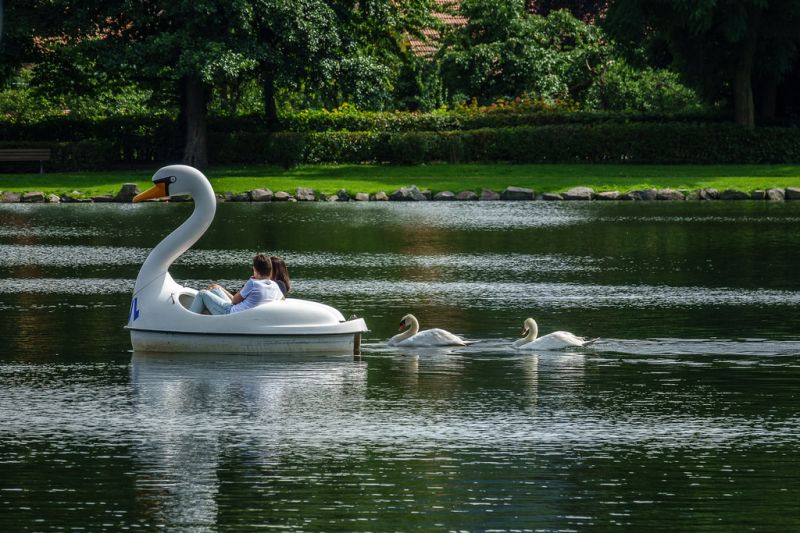 agua, reflexão, parque, barco, lago, veículo agua, reflexão, parque, barco, lago, veículo