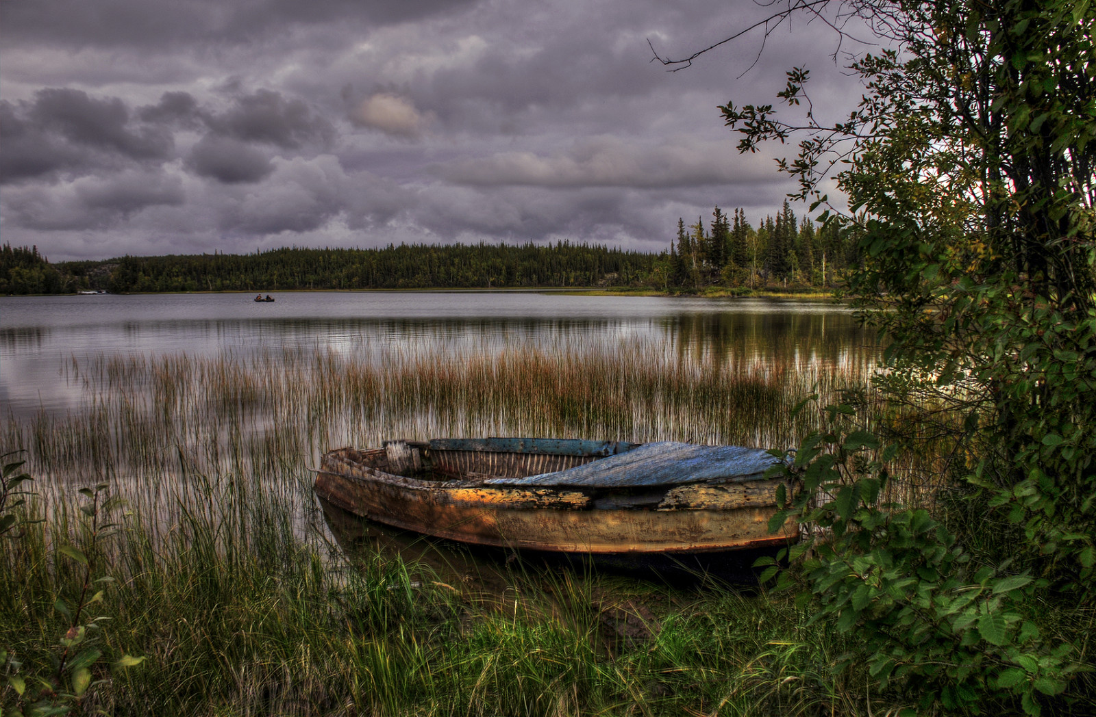 lago, Canada, acqua, nuvole, paesaggio, Nikon, nwt, NIKKOR, territori del Nordovest, Yellowknife, northof60, ingrahamtrail, 18300, prosperouslake, D300S