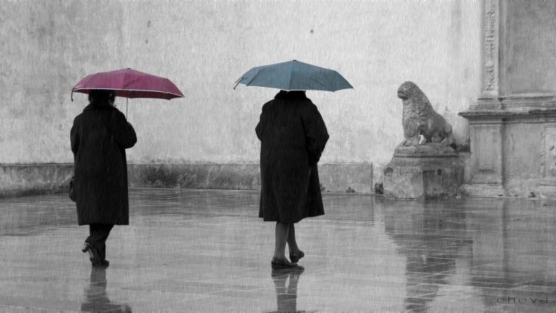 黑色,单色,雪,冬季,雨,雨伞