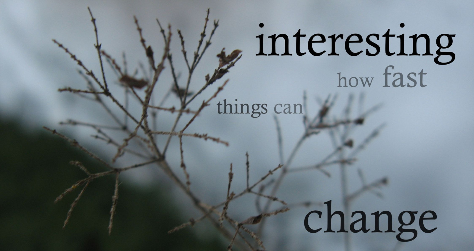 niebo, zimowy, tekst, gałąź, ranek, mróz, Zamrażanie, drzewo, gałązka, Tapeta komputerowa, czcionka, Trzon roślinny, stock photography