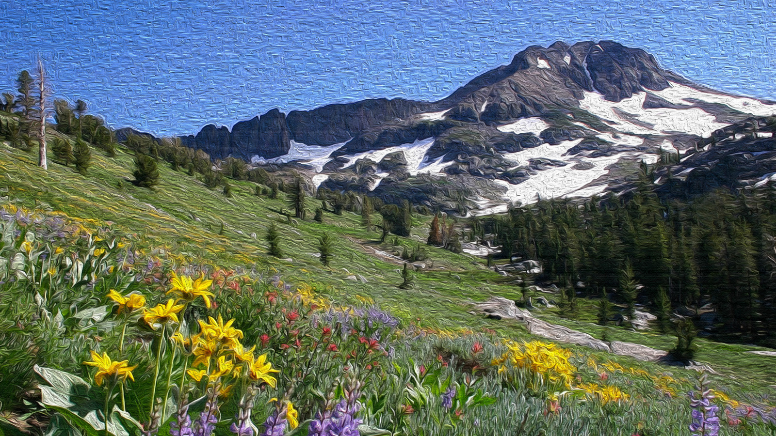 montagne, campo, fiori, la pittura