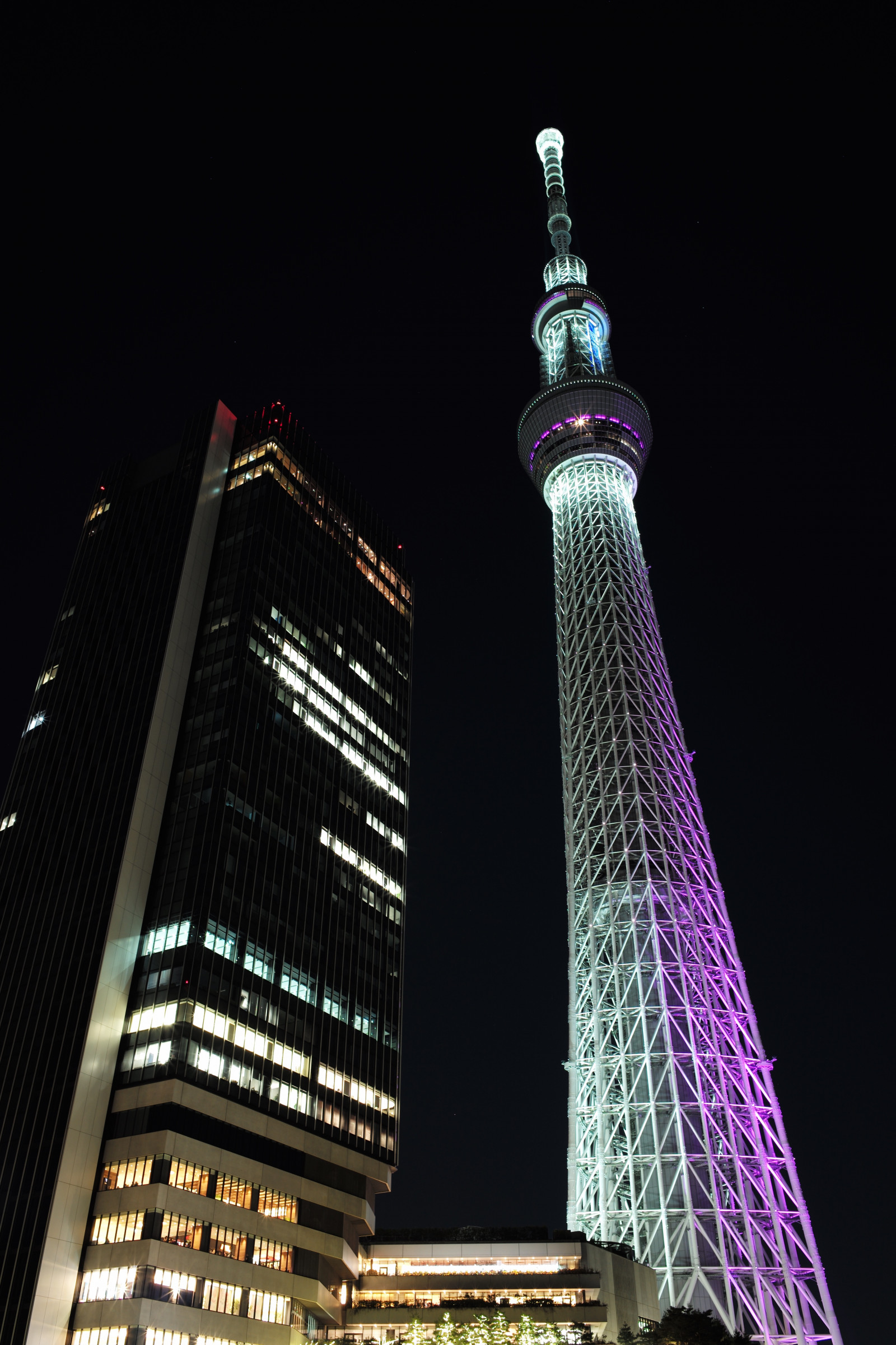 panoráma města, noc, architektura, panoráma, mrakodrap, věž, Leica, metropole, Tokio, M, Skytree, světlo, tvar, mezník, Tokyo Sky Tree, typ240, čisté nebe, ELMARIT, elmarit12828asph, fuyumiyabi, Metropolitní oblast, panelový dům
