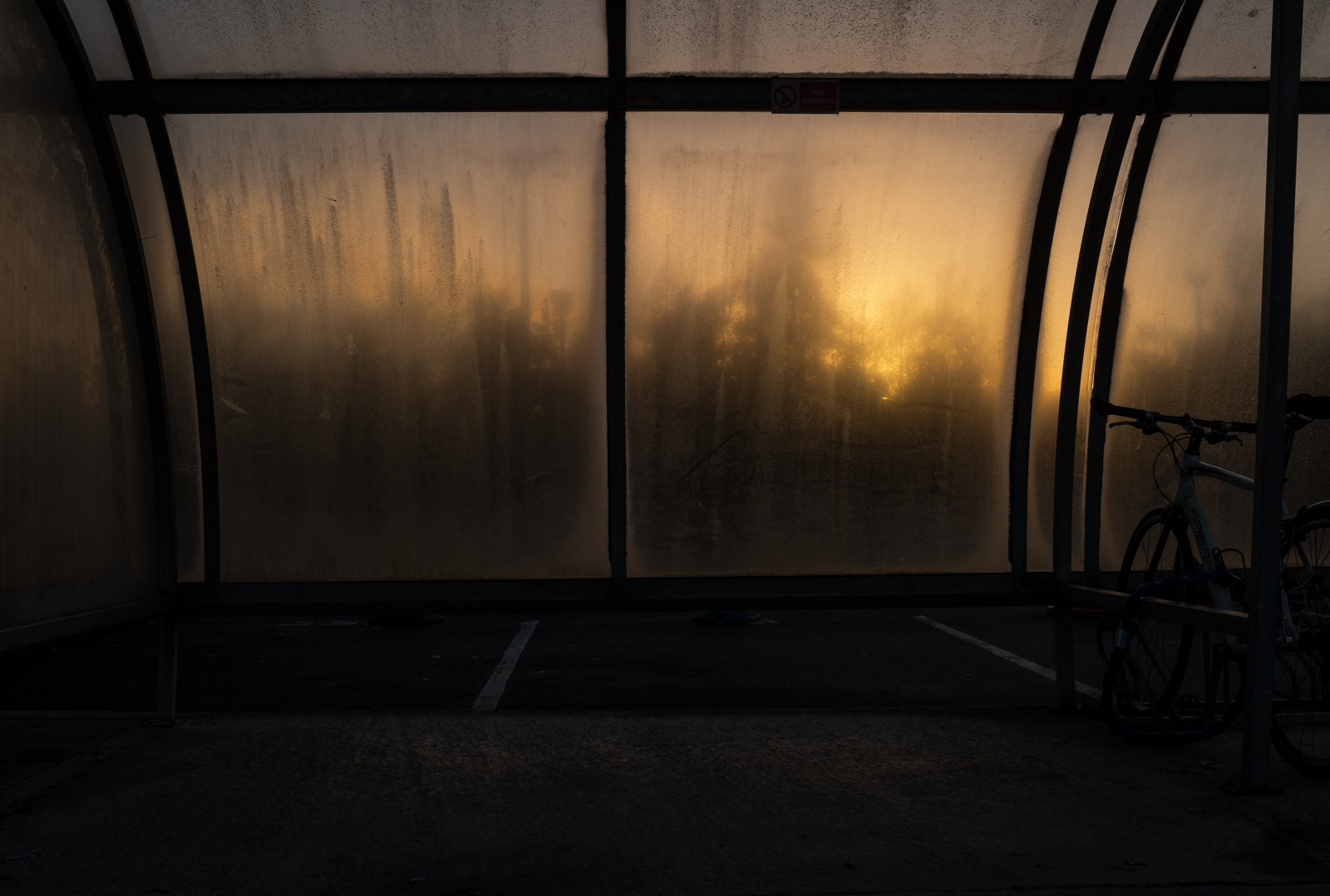 sollys, vindue, solnedgang, nat, afspejling, himmel, træ, aften, morgen, glas, atmosfære, Irland, Dublin, 35MM, vinkel, lys, skygger, belysning, farve, fuji, mørke, streetphotography, x100s, dagslys, fænomen, xSeries