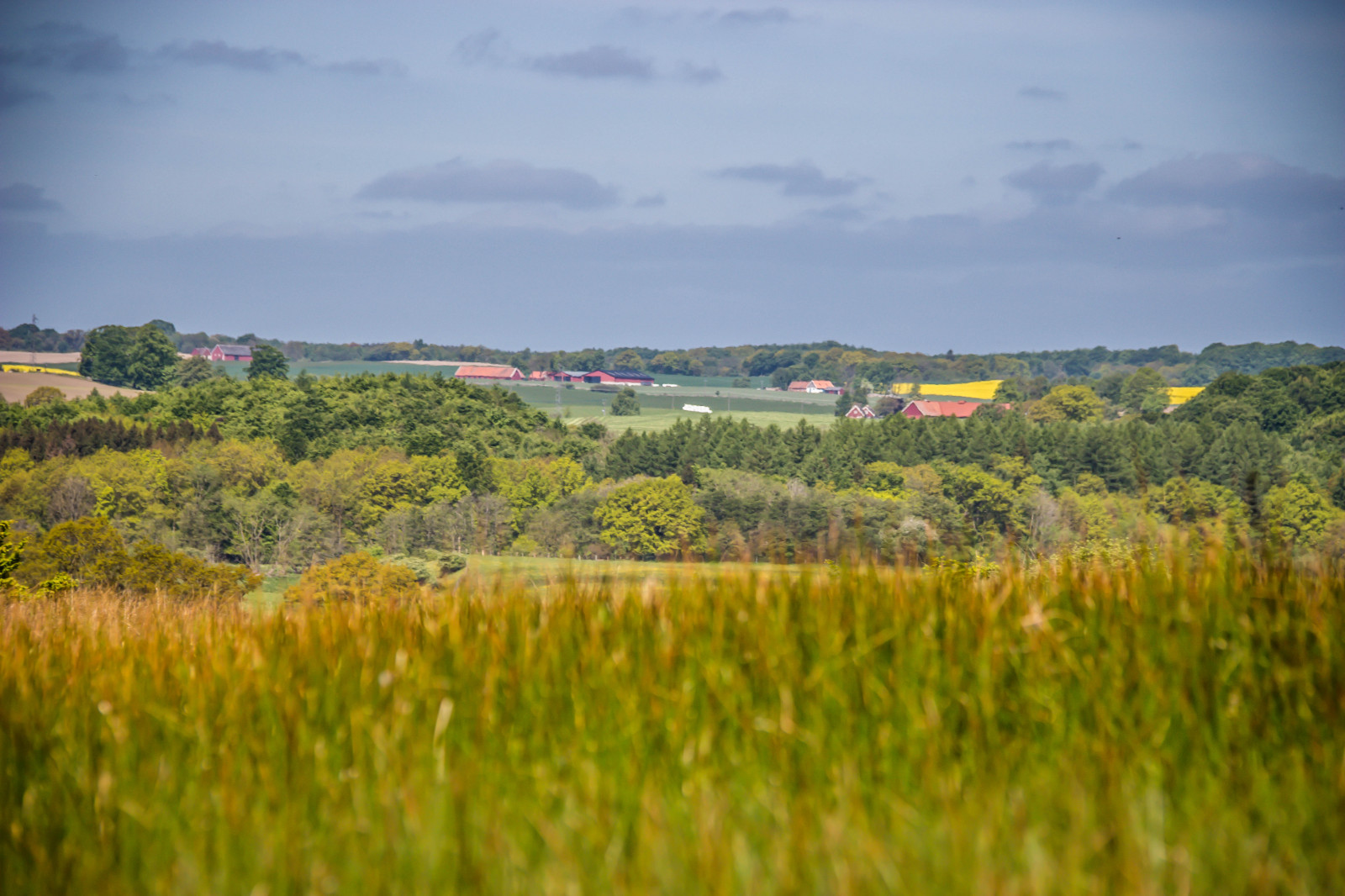 slunečnímu záření, krajina, kopec, Příroda, tráva, nebe, pole, zelená, ráno, pobřeží, horizont, mokřadní, mrak, strom, podzim, list, hora, květ, lučina, rostlina, pastvina, landsbygd, f lt, landskap, Kamera aby kánon, geolocation, EXIF čočka efs18200mmf3556is, exif aby kánon, EXIF isospeed 100, EXIF otvor 71, gr n, exif focallength 130mm, Model fotoaparátu canoneos100d, exif modelu canoneos100d, fyledalen, benestadbackar, countyside, Kull, zemědělství, louka, prostý, prérie, bažina, venkov, místo výskytu, přírodní prostředí, atmosférický jev, dřevina, geografický rys, ekosystém, tráva rodina