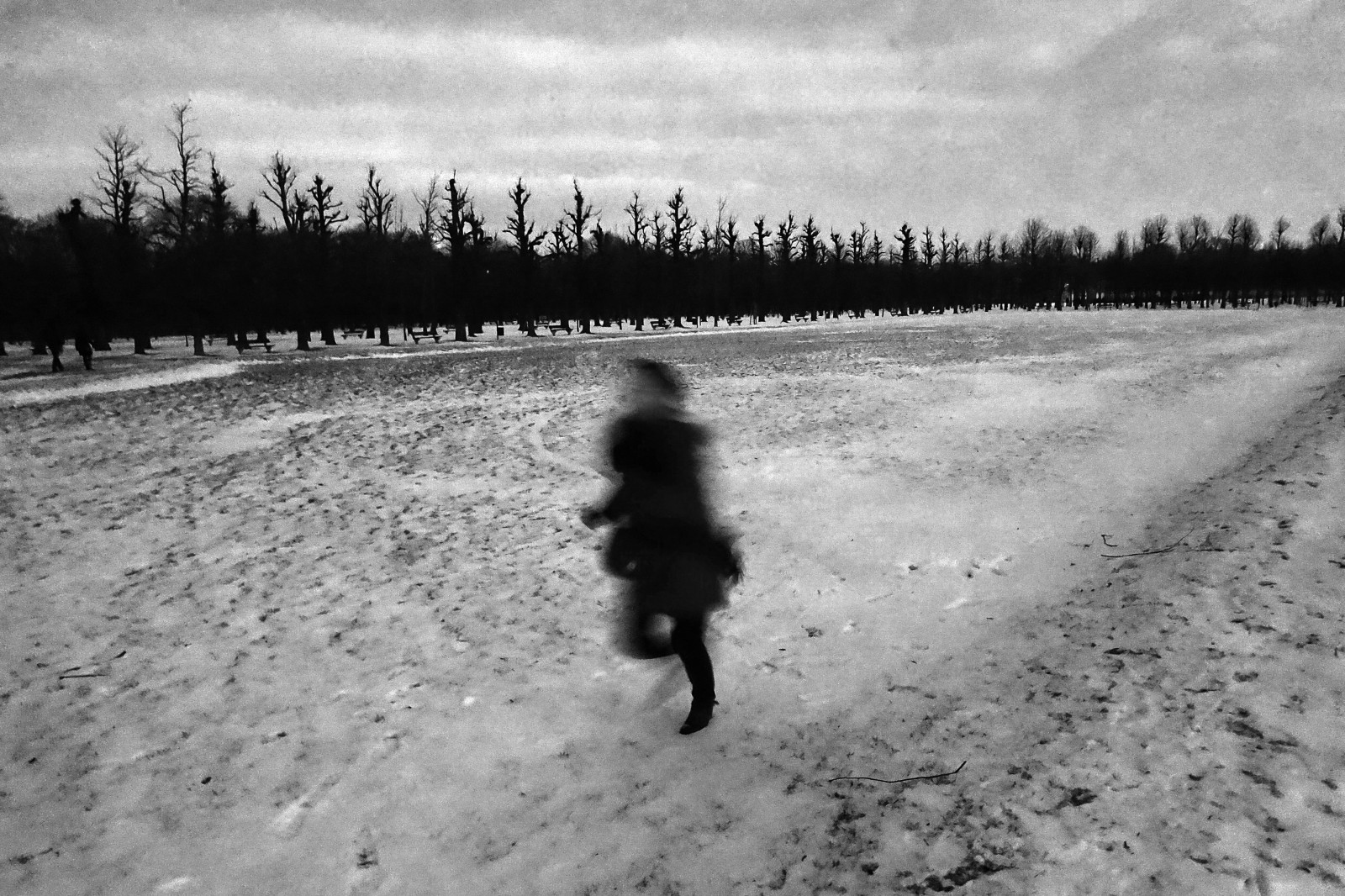 Černá, Černý a bílý, nebe, monochromatické fotografování, zmrazení, mrak, strom, zima, fotografování, sníh, Atmosféra Země, silnice, atmosféra, jev, černobílý, cesta, geologický fenomén, meteorologický jev, krajina, ekoregion, led