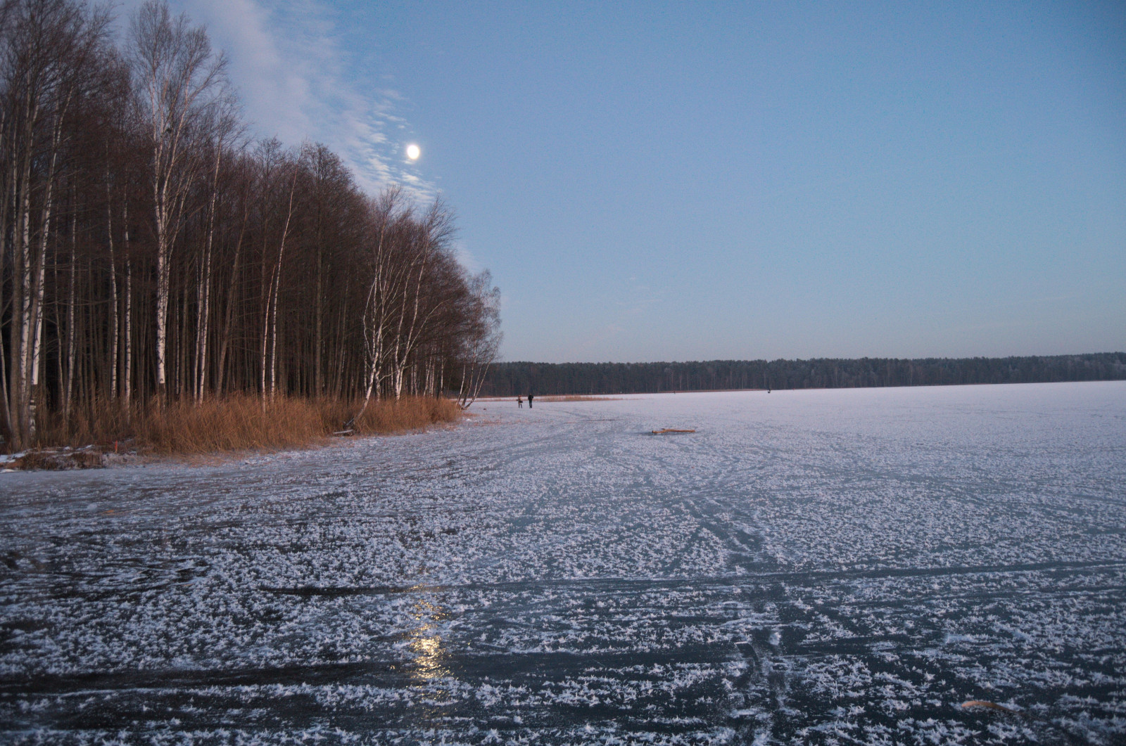 Sonnenlicht, Meer, See, Wasser, Ufer, Betrachtung, Schnee, Winter, Eis, Morgen, Frost, Fluss, Einfrieren, Feuchtgebiet, Wetter, Jahreszeit, Reservoir, See, Atmosphärisches Phänomen