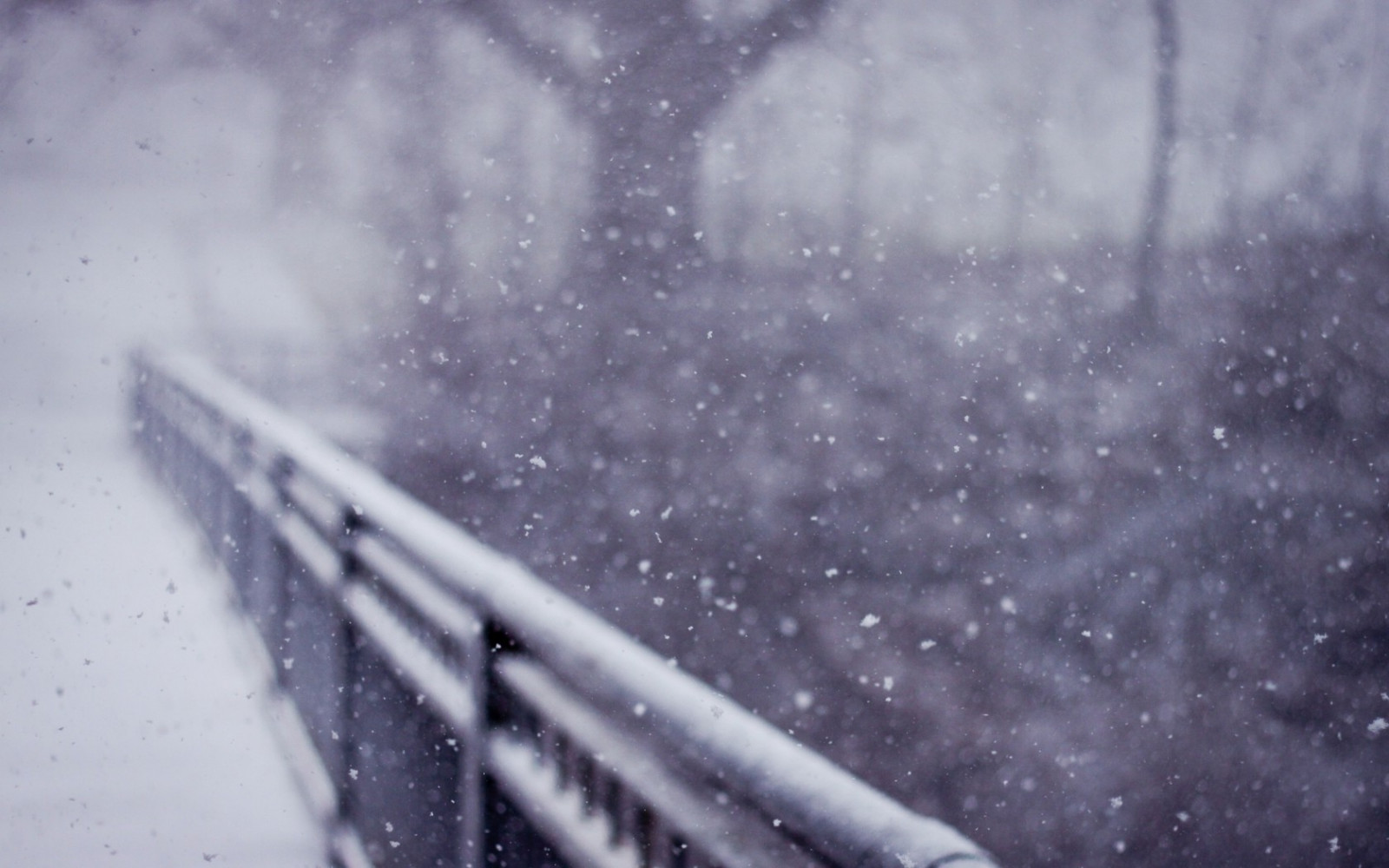 1680x1050 px, Profondeur de champ, paysage, la nature, la photographie, neige, des arbres, hiver