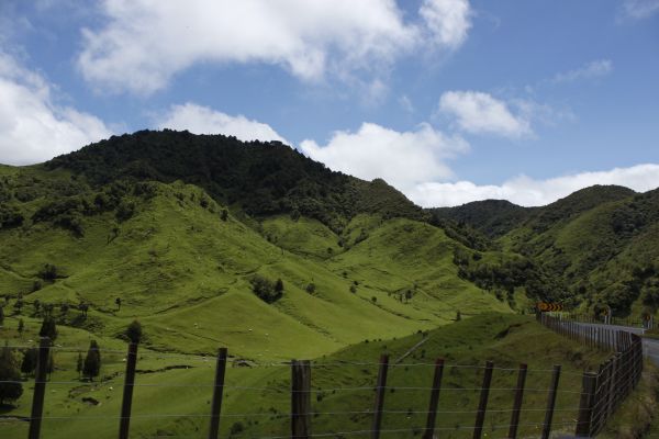 New Zealand,hills,mountains,grass