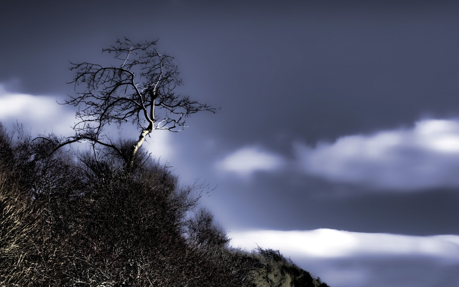 slunečnímu záření, krajina, les, Příroda, odraz, nebe, sníh, zima, větev, ráno, světlo, mrak, strom, hora, počasí, rostlina, tma, atmosférický jev, dřevina, horských reliéf, meteorologický jev