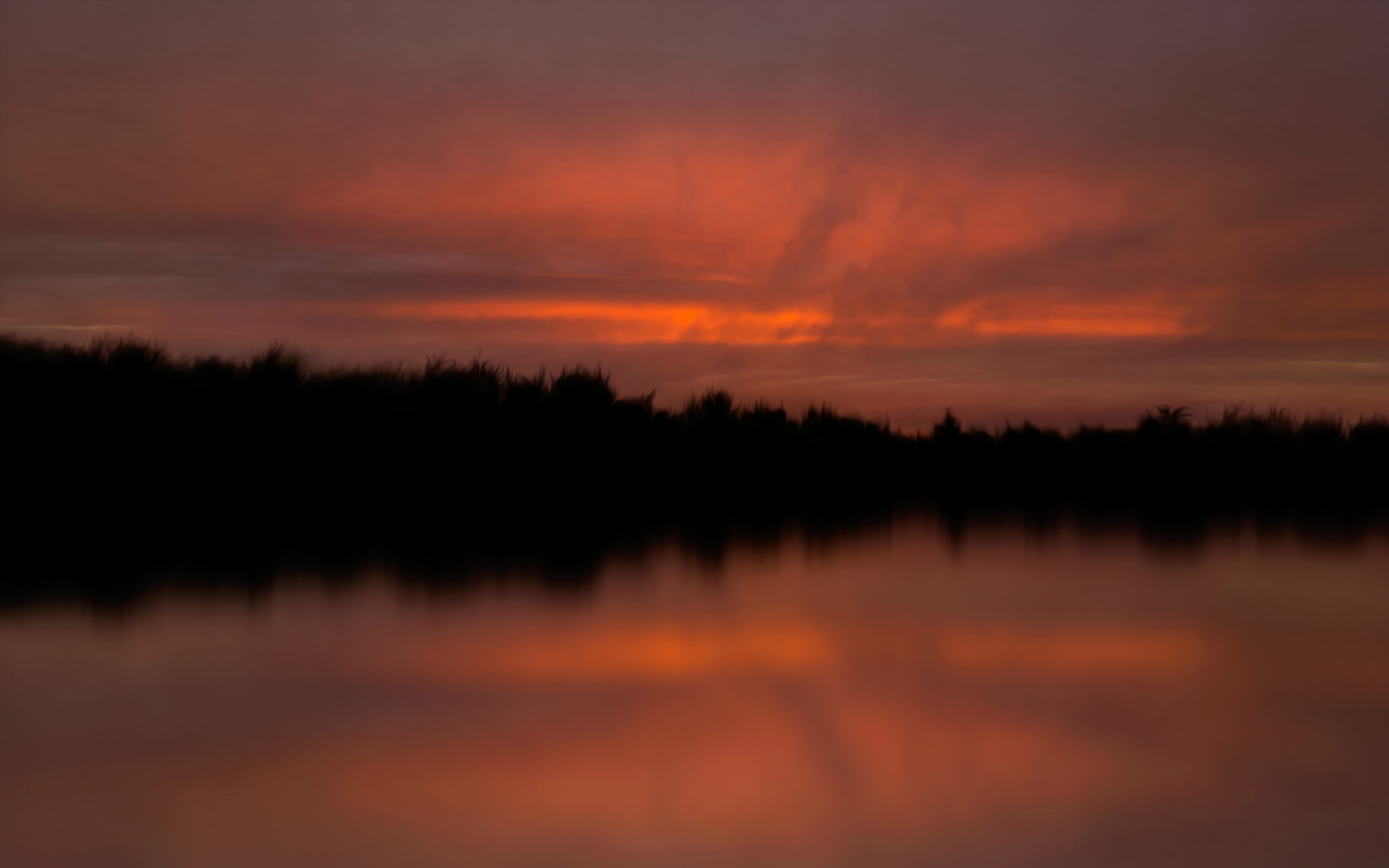rosa, alberi, tramonto, rosso, cielo, arancia, Ontario, Canada, silhouette, Nikon, Ottawa, Serenità, relfection, D7100, bensenior, nikond7100, Sunsetserenity