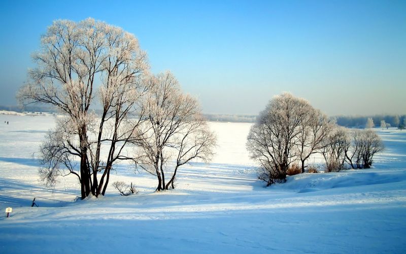 sunlight, landscape, snow, winter, ice, branch sunlight, landscape, snow, winter, ice, branch