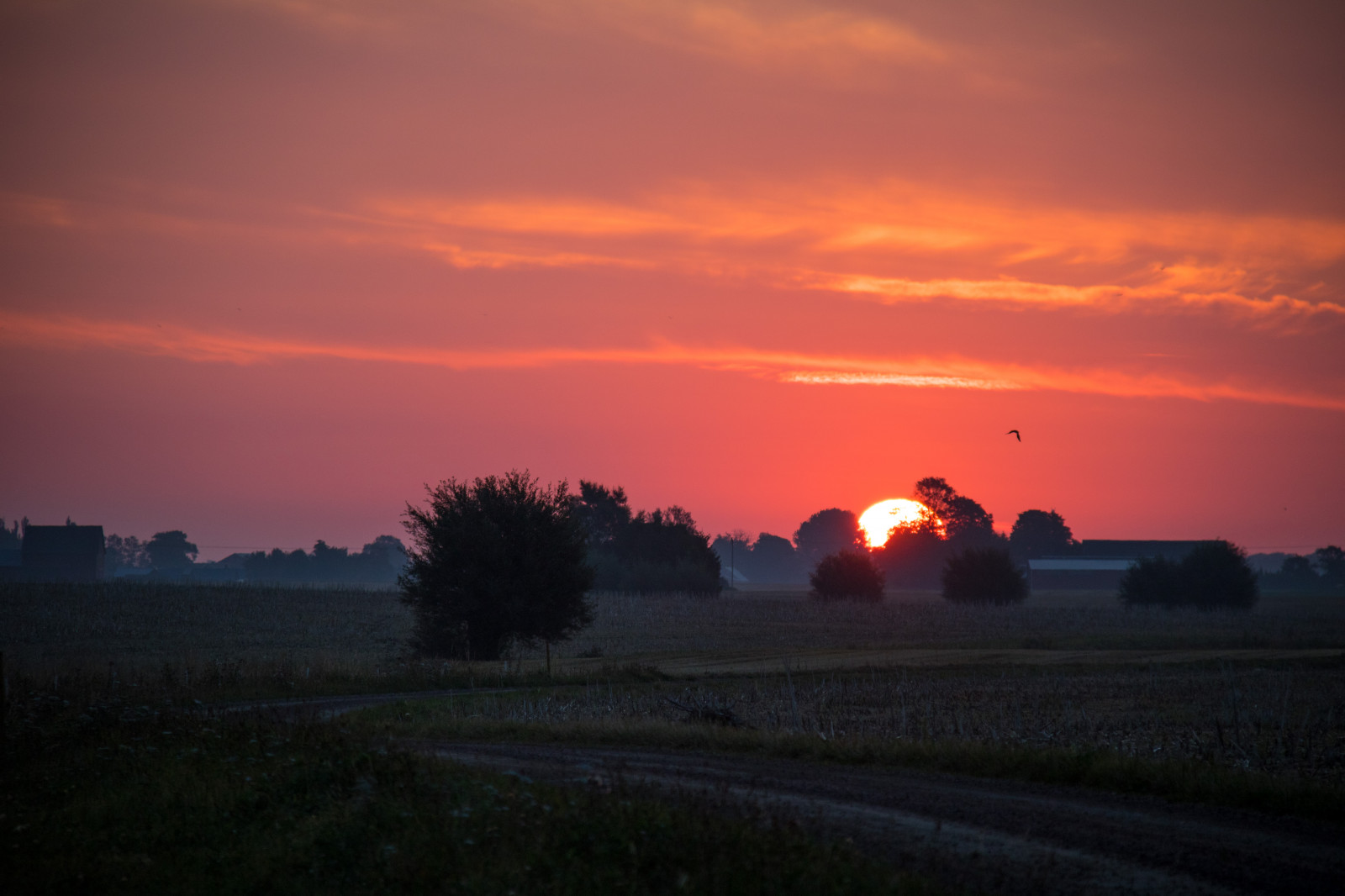 slunečnímu záření, krajina, západ slunce, kopec, nebe, pole, svítání, večer, ráno, slunce, horizont, soumrak, mrak, svítání, nebe, venkov, moln, landsbygd, soluppg ng, s dersl tt, landskap, gryning, exif modelu canoneos760d, geocountry, Kamera aby kánon, geocity, Model fotoaparátu canoneos760d, geostate, geolocation, EXIF čočka efs18200mmf3556is, EXIF otvor 56, exif aby kánon, exif isospeed 200, morgon, exif focallength 160mm, prérie, atmosférický jev, odlesk, červená obloha v dopoledních hodinách