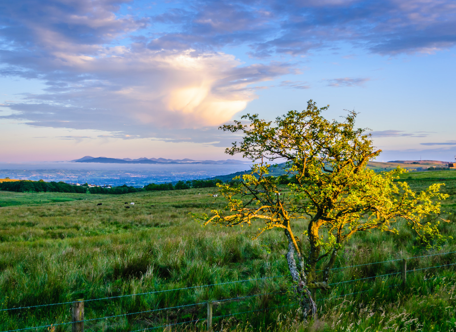 sollys, træer, landskab, bjerge, bakke, natur, græs, himmel, Mark, skyer, berolige, grøn, bakker, aften, morgen, horisont, Nationalpark, Nikon, Irland, ødemark, lyse, Bank, gå, mount landskaber, Belfast, vådområde, fredfyldte, dramatisk, Sky, smuk, træ, blad, flickr, bjerg, rækkevidde, daggry, græsarealer, farverig, græs, felter, vegetation, stier, eng, almindeligt, dejlig, magiske, pop, wildflower, prærie, irish, loch, landdistrikt, computer tapet, meteorologisk fænomen, savanne, shrubland, d3300, økoregion, Følg tilbage