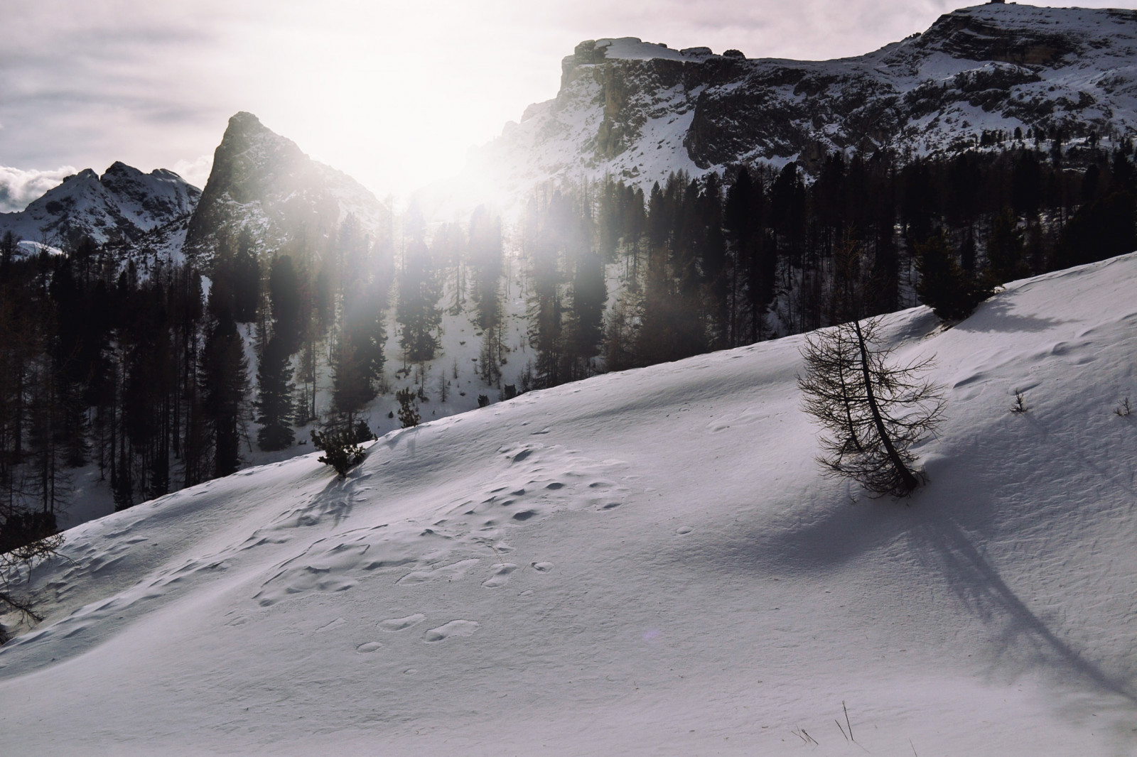 slunečnímu záření, stromy, krajina, bílý, hory, Itálie, kopec, nebe, sníh, zima, led, Studený, ráno, mráz, slunce, fotograf, údolí, Nikon, horský průsmyk, divočina, Evropa, Alpy, zmrazení, podsvícení, hřbet, světlo, Terén, mrak, paprsky, strom, stíny, hora, Pohled, masiv, zamrzlý, chlad, piste, veneto, horských reliéf, geologický fenomén, pohoří, moréna, ledová landform, cirkus, Cinque Torri
