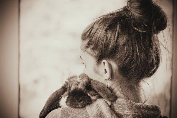 love, cat, portrait, long hair, photography, hair