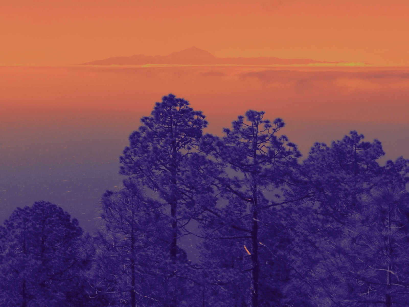 ocean, træ, hav, Sky, bjerge, træ, berg, GranCanaria, mobil, ø, Spanien, meer, telefon, kanaren, perspektiv, Wolke, Canarias, Atlantic, Insel, Espana, Caldera, Sascha, Tenerife, kanariefugl, serra, Teide, wald, Teneriffa, canaryislands, Isla, baum, Pinar, spanien, Vulcano, Perspektive, islascanarias, atlantico, Gebirge, atlantik, iPhone, Volcan, vulkan, Tejeda, Unger, Artenara, kanarischeinseln, Tamadaba, iphonography, iPhoneography, sascha2010, saschaunger