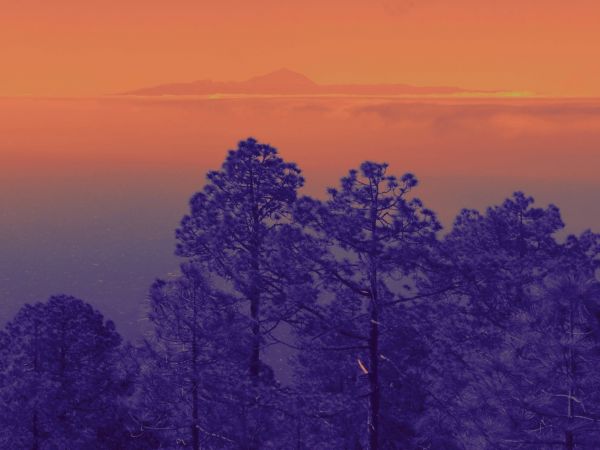 ocean, sea, cloud, wood, mountains, tree
