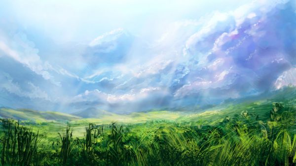 sunlight, landscape, hill, nature, grass, forest