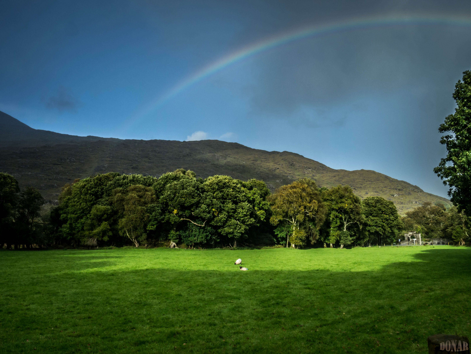 slunečnímu záření, krajina, kopec, Příroda, tráva, nebe, zelená, 2013, struktura, kurz golfu, mrak, lučina, duha, mygearandme, louka, mygearandmepremium, mygearandmebronze, mygearandmesilver, mygearandmegold, Urlaub, trávník, Kerry, venkov, Atmosféra Země, sportovní dějiště, meteorologický jev, irland, wandern, Beare