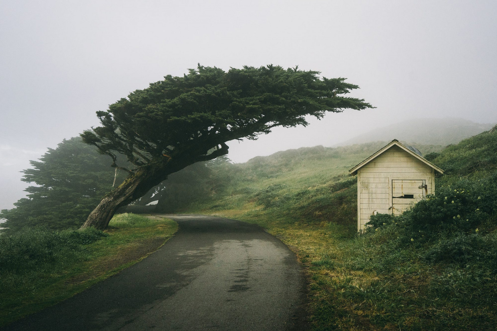 2000x1331 px, California, casa, nebbia, strada, alberi