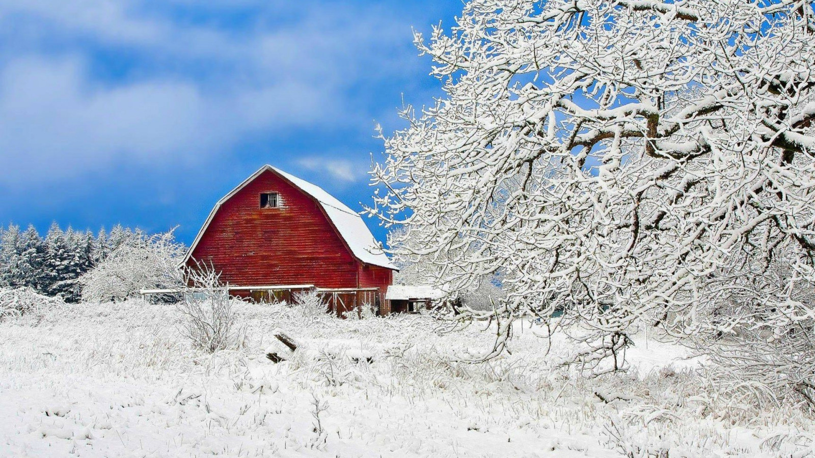 des arbres, bâtiment, ciel, neige, hiver, gel, Gel, Montagne, fleur, Météo, saison, Phénomène géologique, chaîne de montagnes