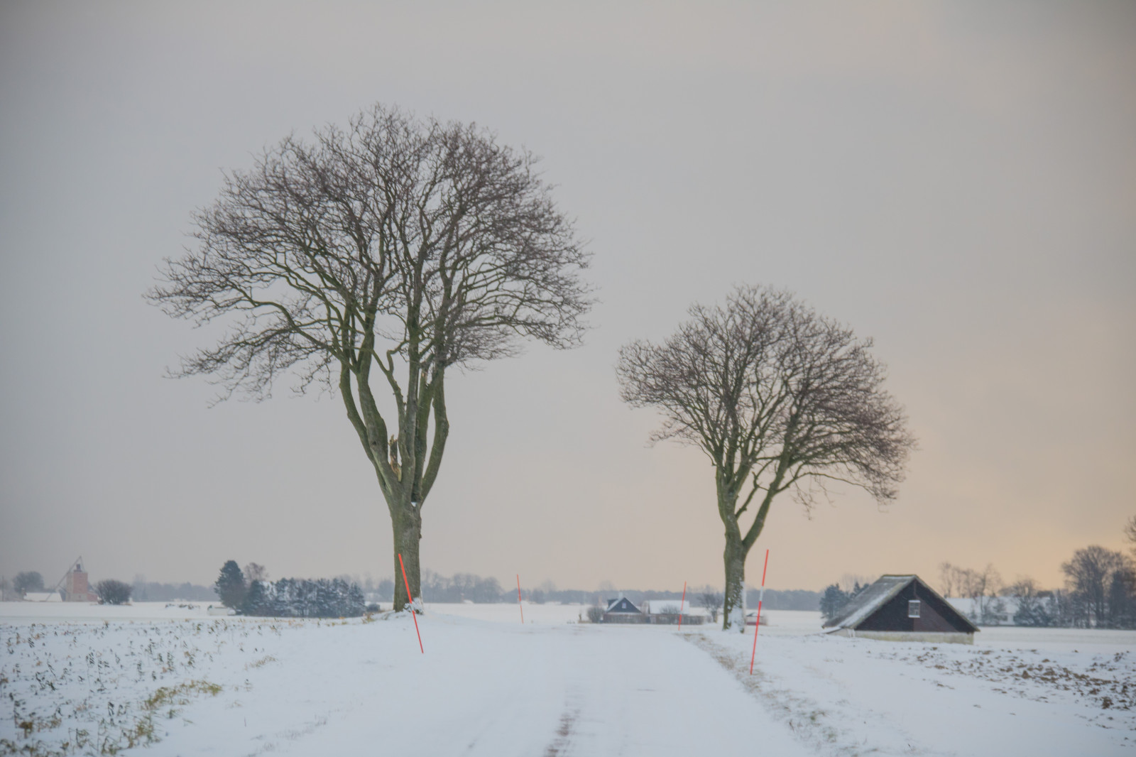 landskab, sne, vinter, vej, afdeling, morgen, frost, Fryser, træ, vejr, sæson, sn, vinter, tr d, landskabet, landsbygd, s dersl tt, landskap, exif model canoneos760d, geocountry, kamera gør kanon, geocity, kameramodel canoneos760d, geostate, geolocation, exif linse efs18200mmf3556is, exif åbning 56, exif gøre kanon, exif isospeed 320, exif focallength 110mm, VAG, snestorm, atmosfærisk fænomen, vedplante, vinter storm