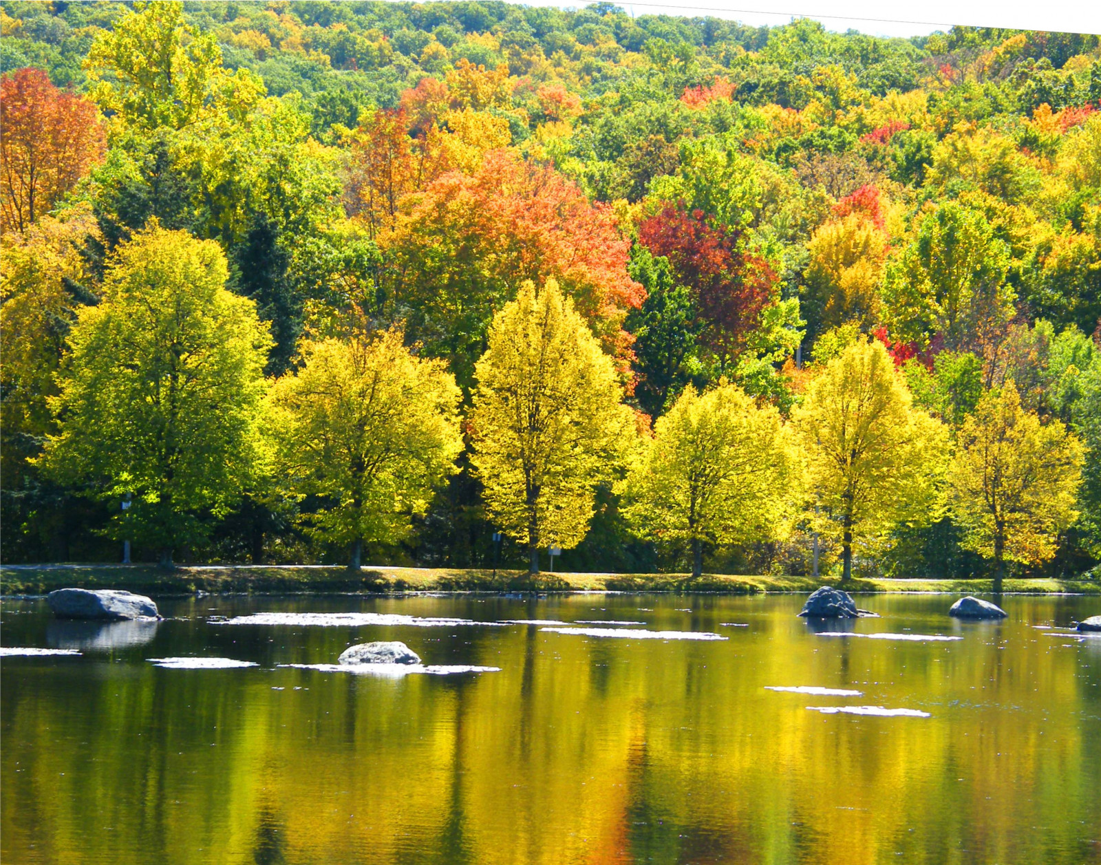 odraz, voda, list, Příroda, žlutý, strom, podzim, ekosystém, jezero, smíšený les, banka, rybník, nádrž, biome, nebe, krajina, řeka, rostlina, slunečnímu záření, opadavý, tráva, vodní tok, les, počítač tapeta, vodní prvek, mokřadní, národní park, větev