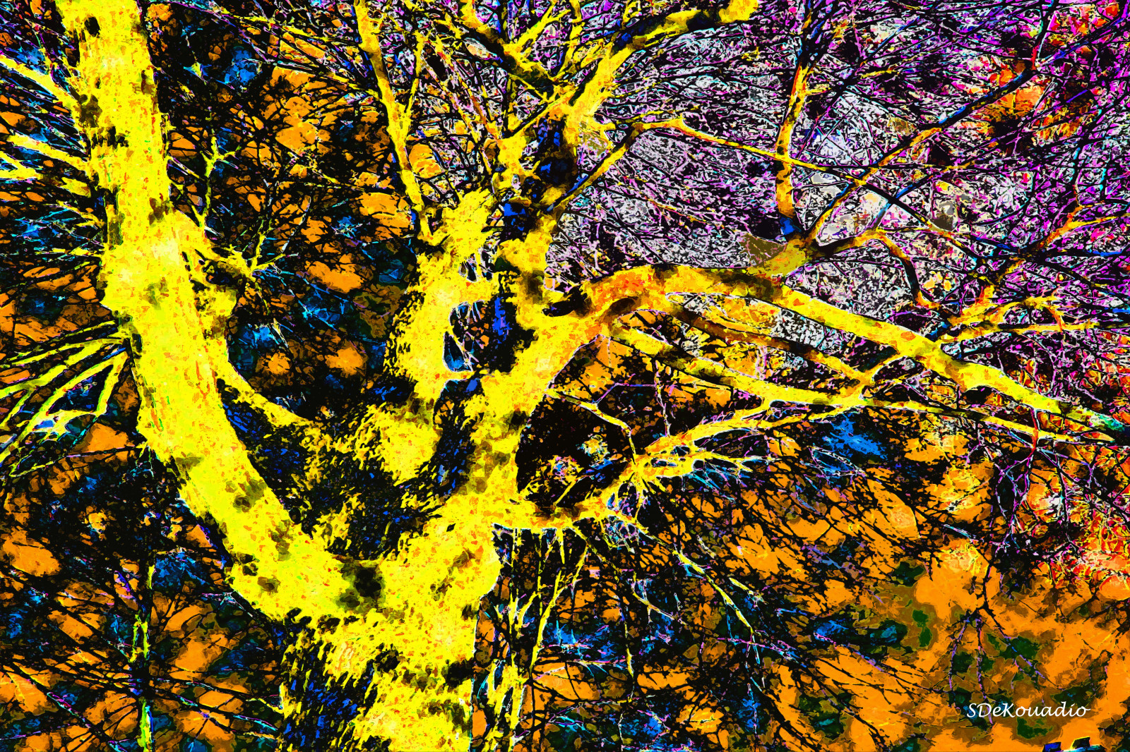 sollys, maleri, abstrakt, kunstværk, afdeling, gul, Canon, birk, KUNST, træ, efterår, blad, blomst, kunstnerisk, plante, udendørs, sæson, abstractart, jord plante, blomstrende plante, vedplante, bagagerum, abstractpainting