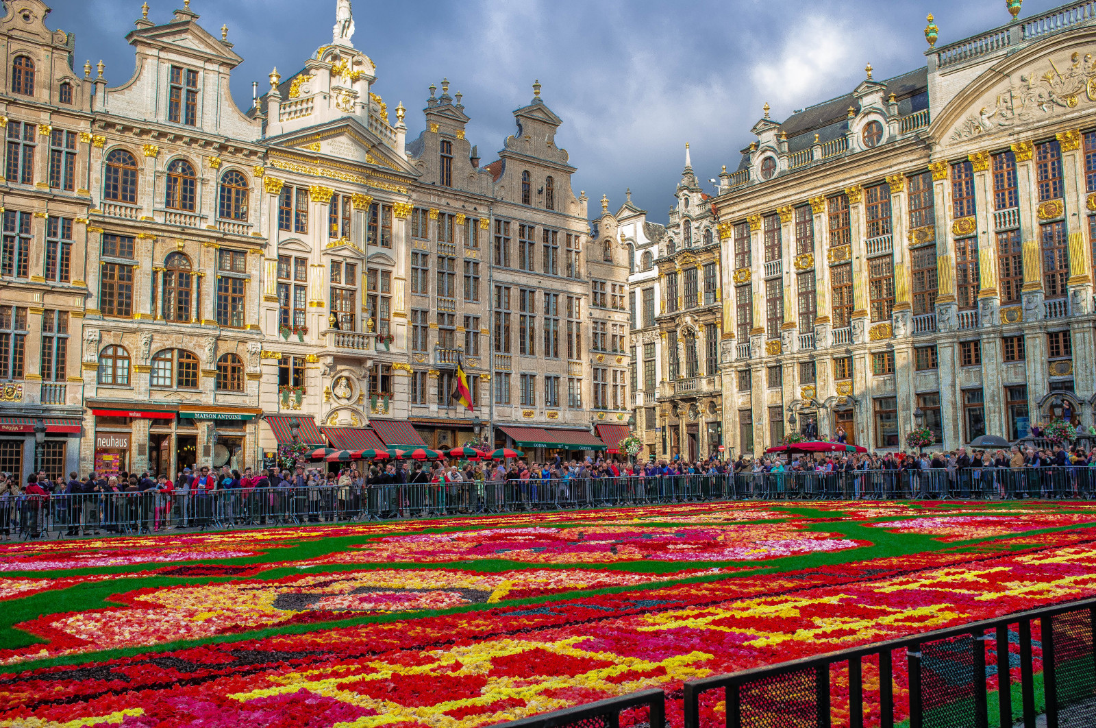 Wallpaper travel, flowers, Brussels, buildings, Europe, fuji, Belgium