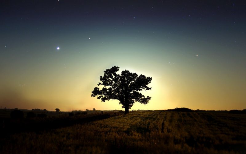 sunlight, trees, landscape, sunset, night, nature sunlight, trees, landscape, sunset, night, nature