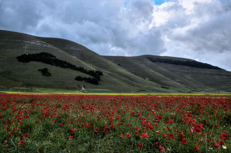 landscape, hill, nature, grass, sky, field landscape, hill, nature, grass, sky, field