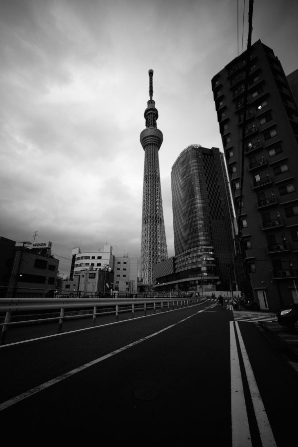 black, monochrome, city, cityscape, night, symmetry