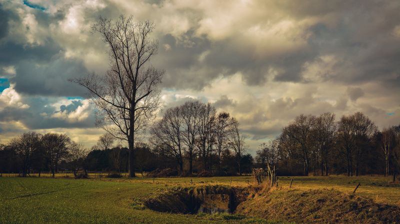 verde, Nikon, nikond7100, paesaggio, nuvole, albero verde, Nikon, nikond7100, paesaggio, nuvole, albero