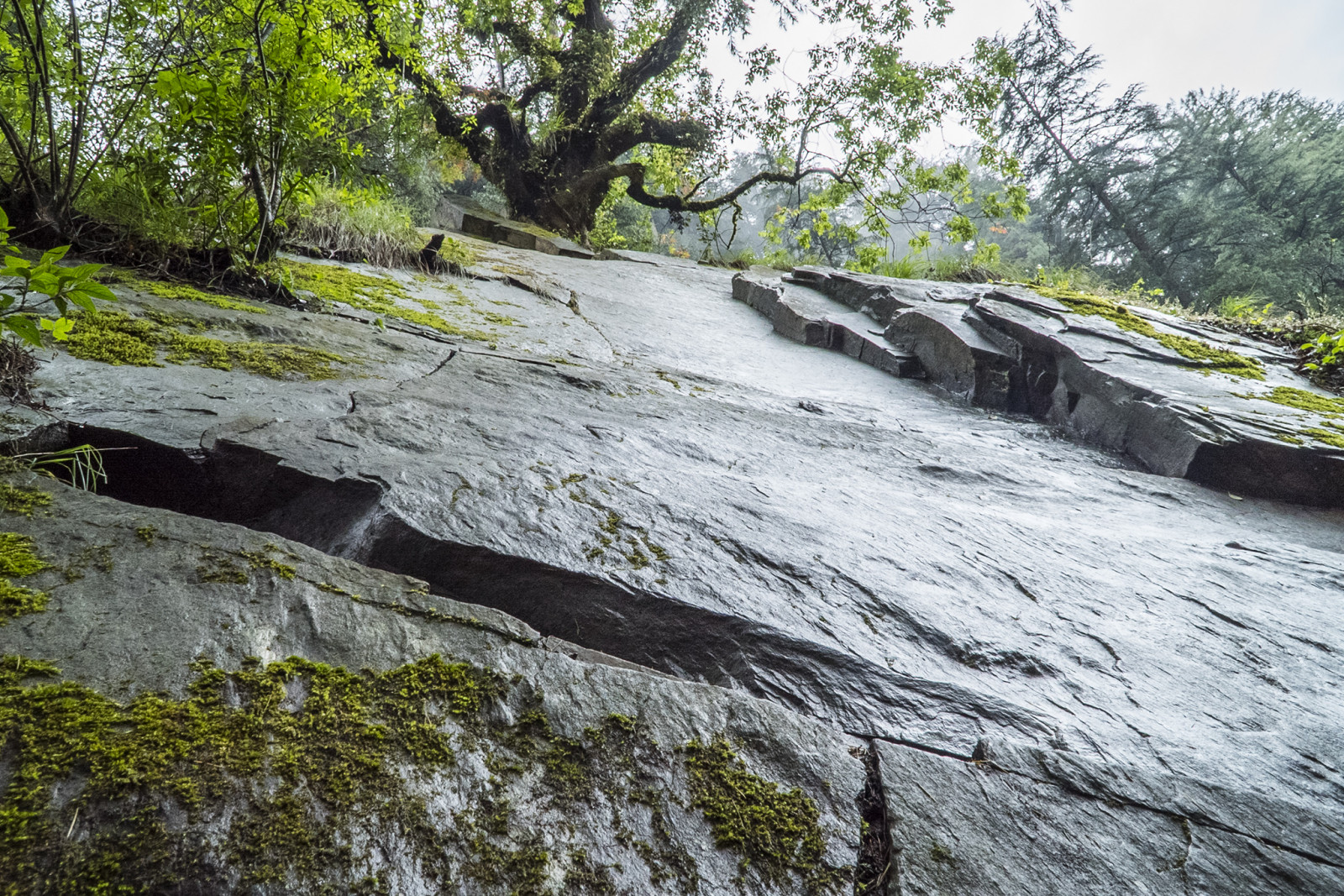 krajina, les, hory, vodopád, Asie, voda, Skála, Příroda, tráva, Indie, mech, zelená, řeka, Sony, mokrý, proud, Himaláje, šedá, turistika, banka, dynamický, strom, hora, rostlina, les, vodní tok, Rychlý, zátoka, složení, geologie, vodní prvek, A7S, národní park, Himaláje, Himachal, neočekávaný výskyt, vodní zdroje