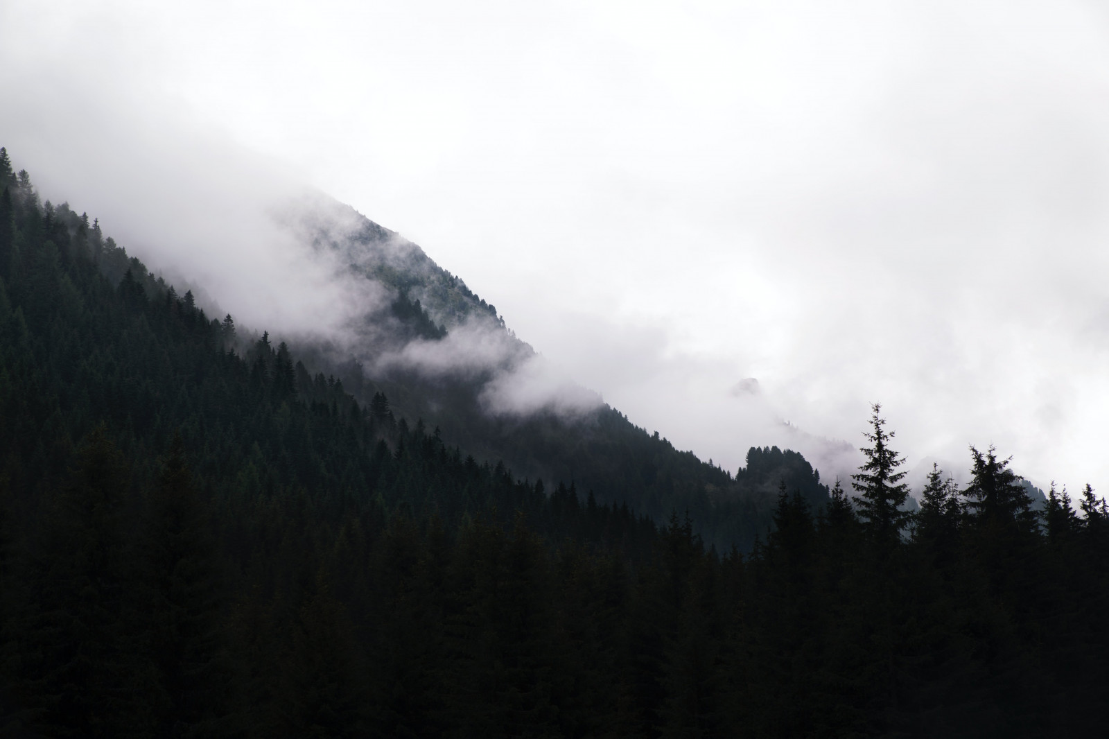 cloud, sky, mountain, tree, fog, plant, highland, Natural landscape, slope, Terrain, cumulus, mountainous landforms, landscape, mountain range, forest, geological phenomenon, Evergreen, valley, spruce fir forest, hill, Massif, mist, larch, haze, fell, ridge, hill station, conifer, meteorological phenomenon, road, temperate broadleaf and mixed forest, summit, tropical and subtropical coniferous forests, jungle, temperate coniferous forest, old growth forest, evening, winter, valdivian temperate rain forest, pine, fir, grassland, rainforest, rock, pine family, darkness, Alps, monochrome photography