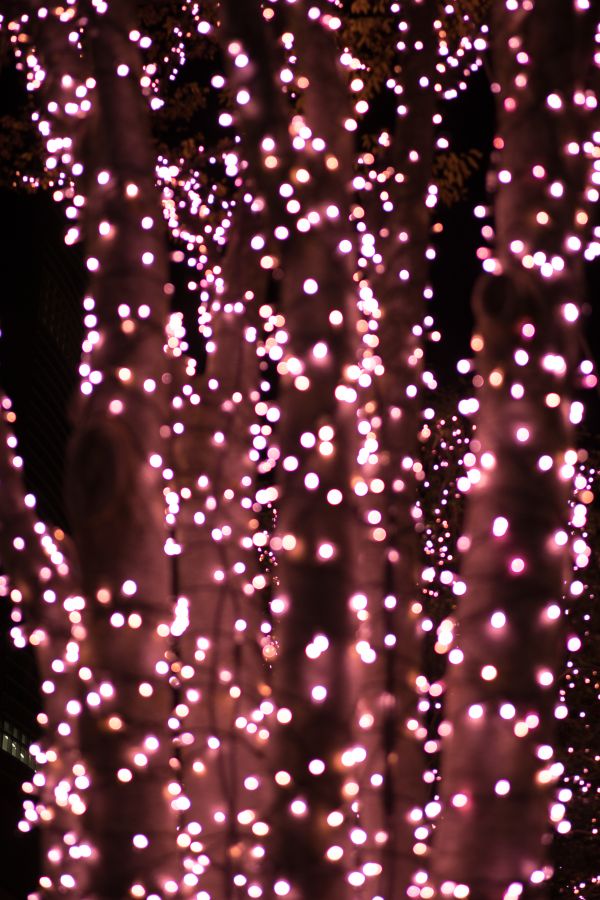 Japan,night,Sony,fireworks,pattern,circle