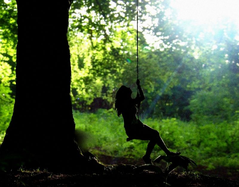 slunečnímu záření, les, portrét, bílý, Černá, temný