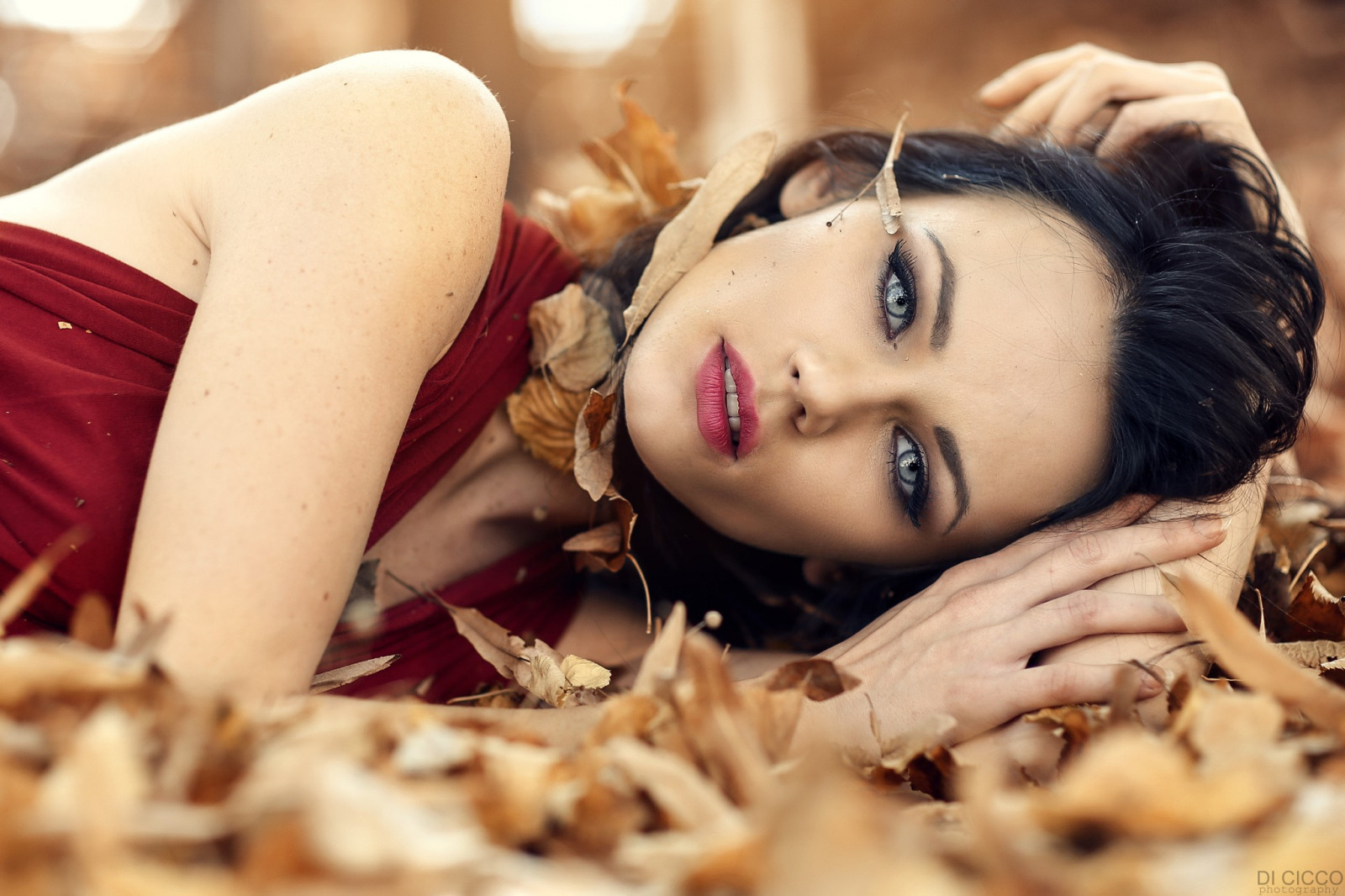 ใบหน้า, ผู้หญิง, โมเดล, ความลึกของสนาม, ดวงตา, ผมยาว, สีน้ำตาล, กำลังมองหาผู้ชม, Alessandro Di Cicco, แต่งหน้า, การถ่ายภาพ, แต่งตัว, ริมฝีปาก, แฟชั่น, อารมณ์, ฤดูใบไม้ผลิ, คน, ผิวหนัง, ความรัก, หญิงสาว, ความงาม, ผู้หญิง, รูปถ่าย, ความหวาน, การถ่ายภาพบุคคล, การถ่ายภาพ, ใกล้ชิด