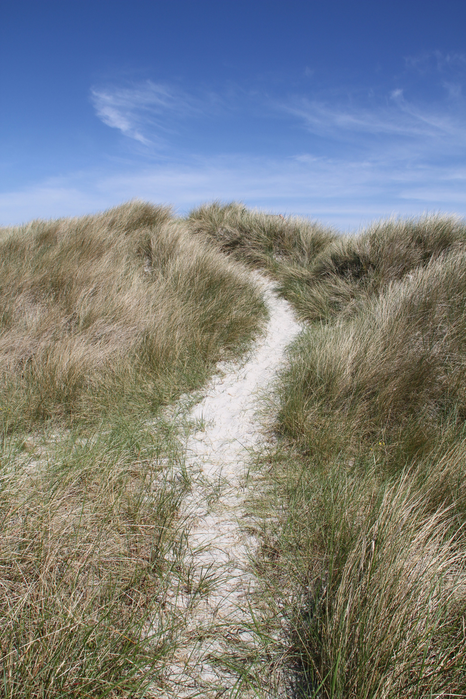 แนวนอน, ทะเล, เนินเขา, ทราย, หญ้า, ชายฝั่ง, ลม, ถิ่นทุรกันดาร, เนินทราย, ที่ราบสูง, บริภาษ, พื้นที่ชุ่มน้ำ, สันเขา, ภูมิประเทศ, ภูเขา, ทุ่งหญ้า, ท่าเรือ, เส้นทาง, vellinge, ทุ่งหญ้า, ทุ่งหญ้า, บึง, ธรณีวิทยา, ถิ่นที่อยู่, สภาพแวดล้อมทางธรรมชาติ, ภูมิประเทศ, คุณลักษณะทางภูมิศาสตร์, ระบบนิเวศ, ครอบครัวหญ้า, Badlands, รูปแบบของดาวหาง