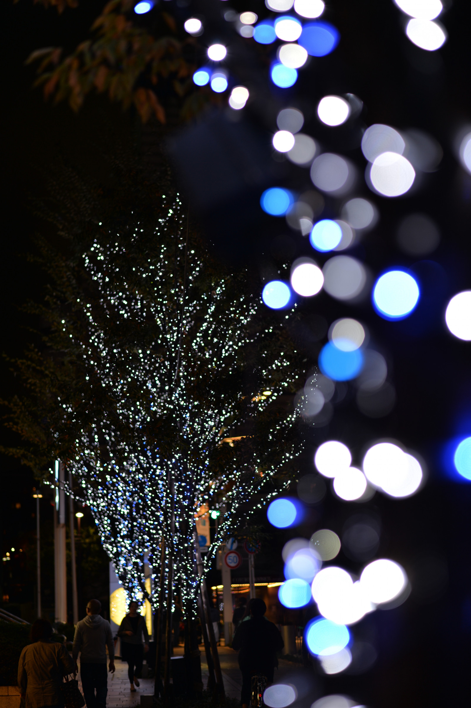Japonsko, noc, modrý, Vánoční strom, Nikon, Vánoce, Vánoční osvětlení, Tokio, jp, světlo, strom, NIKKOR, osvětlené, osvětlení, osvětlení, tma, df, Roppongi, keyakizaka, afs58mmf14g, afsnikkor58mmf14g, osvětlit, výzdoba, vánoční dekorace