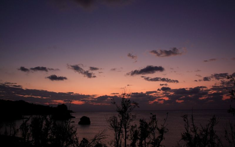 landscape, sunset, sea, water, sky, plants landscape, sunset, sea, water, sky, plants