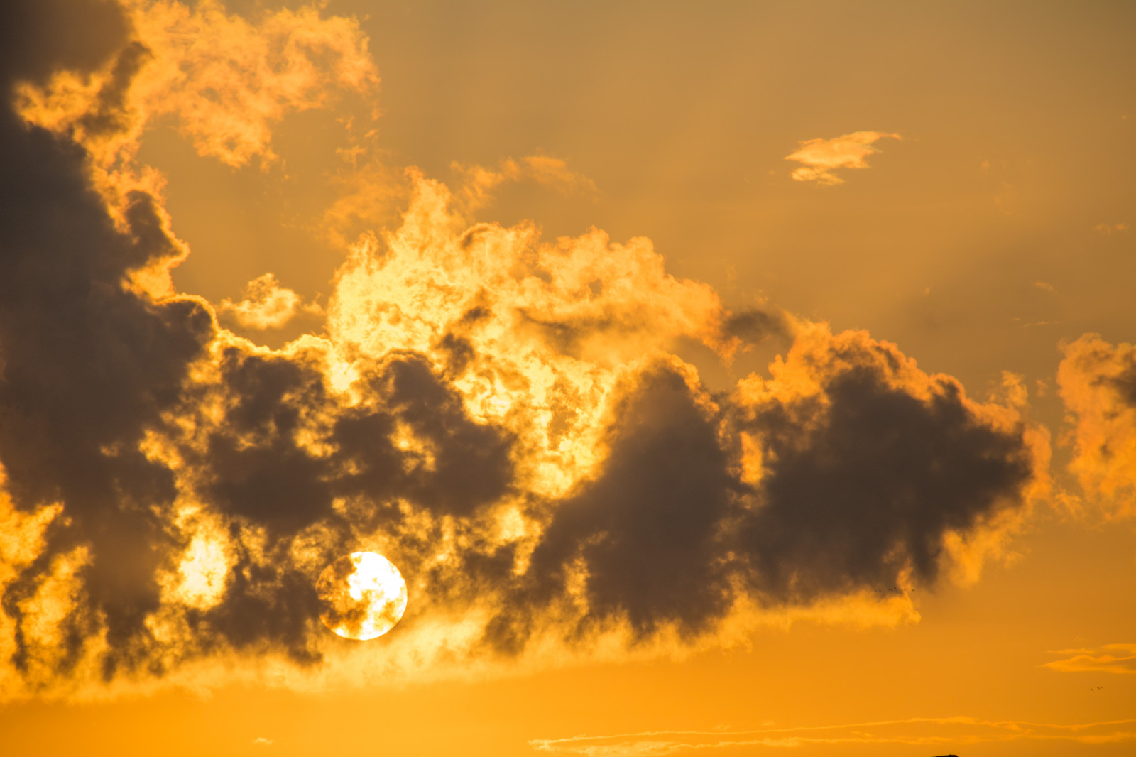 slunečnímu záření, krajina, západ slunce, nebe, pole, svítání, večer, ráno, slunce, horizont, atmosféra, soumrak, mrak, svítání, nebe, solnedg ng, venkov, moln, landsbygd, s dersl tt, landskap, exif modelu canoneos760d, geocountry, Kamera aby kánon, geocity, Model fotoaparátu canoneos760d, geostate, geolocation, EXIF čočka efs18200mmf3556is, exif focallength 200mm, exif aby kánon, EXIF isospeed 100, EXIF otvor 80, odlesk, astronomický objekt, červená obloha v dopoledních hodinách, meteorologický jev, kupa